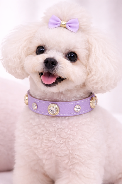 Genuine Leather Pet Collar White Diamond Gemstone Rivet Cowhide Collar Dog and Cat Collar
