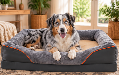 Jumbo Orthopedic Dog Bed – Memory Foam Sofa Bed for Large Dogs