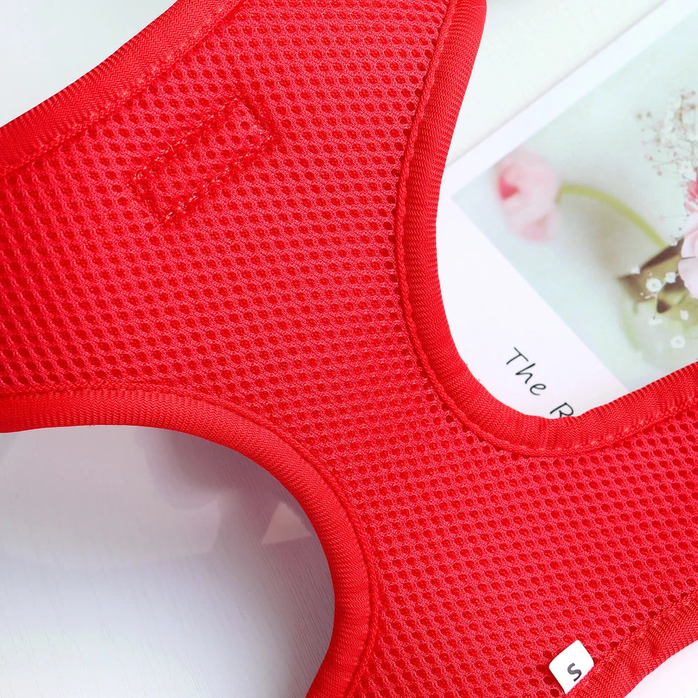 Cute Mesh Nylon Dog Harness – Soft Breathable Adjustable Puppy Vest for Small, Medium &amp; Large Dogs