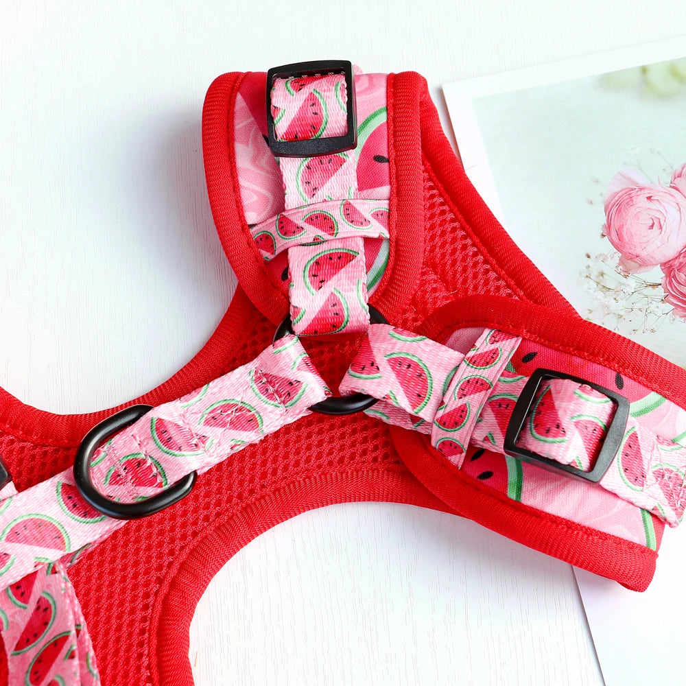 Cute Printed Mesh Nylon Dog Harness – Soft Breathable Adjustable Puppy Vest for Small, Medium &amp; Large Dogs