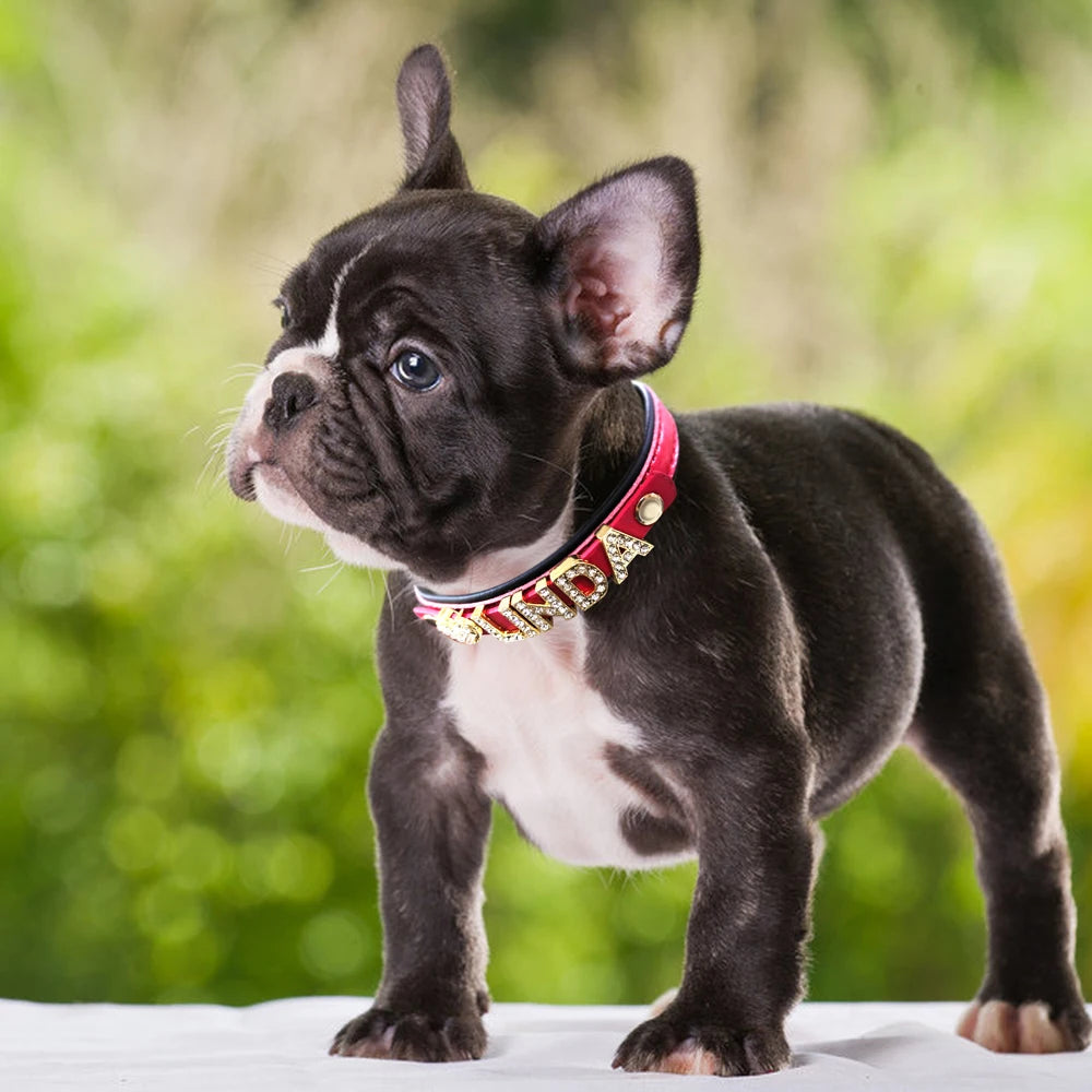 Personalized Bling Rhinestone Dog Collar – Custom Name Collar for Small Dogs &amp; Cats