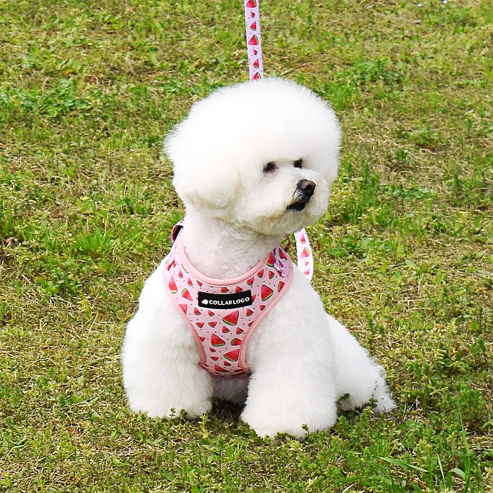 Cute Watermelon Print Adjustable Dog Collar Set  with Leash, Neoprene Harness &amp; Poop Bag Dispenser