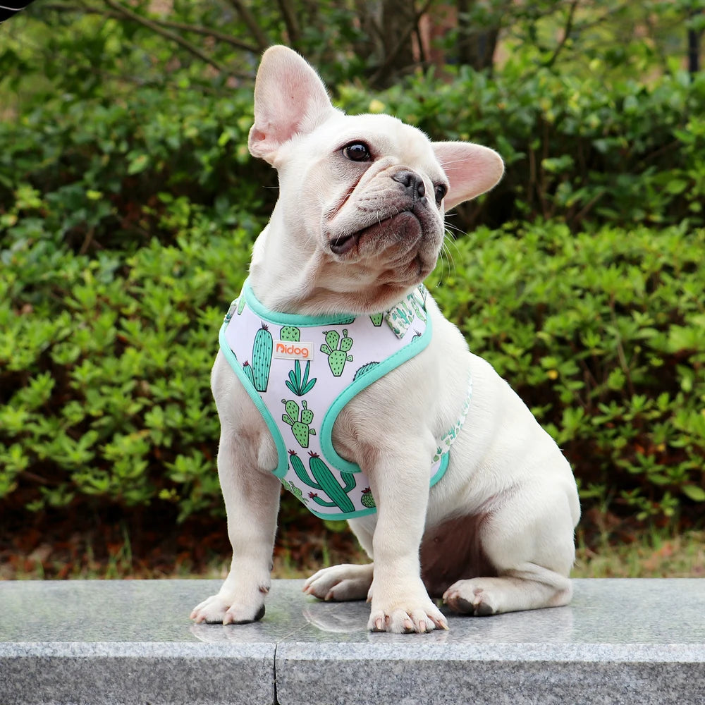 Cute Printed Mesh Nylon Dog Harness – Soft Breathable Adjustable Puppy Vest for Small, Medium &amp; Large Dogs