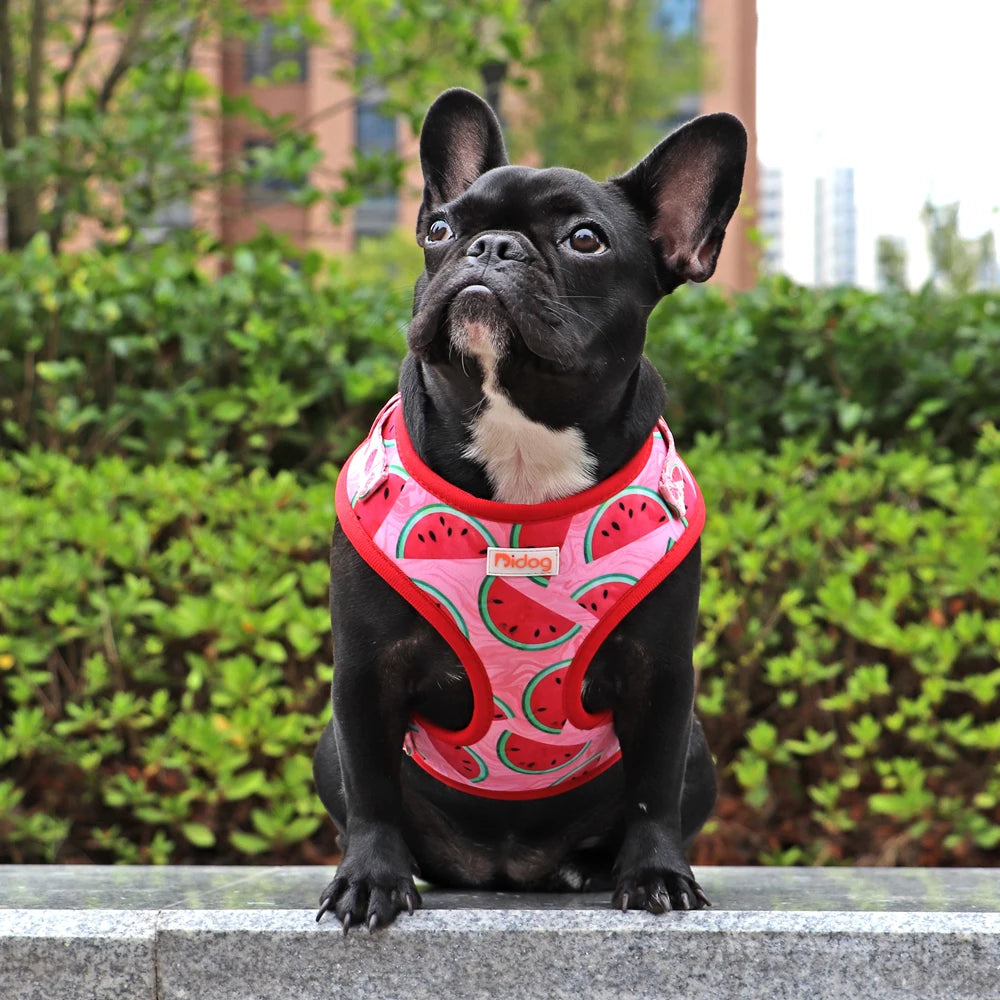 Cute Printed Mesh Nylon Dog Harness – Soft Breathable Adjustable Puppy Vest for Small, Medium &amp; Large Dogs