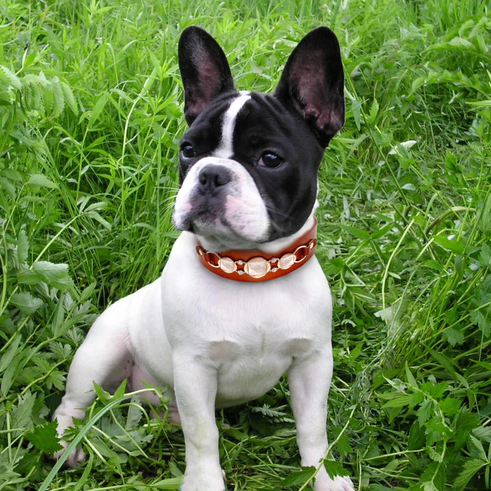 Real Leather Dog Collars - Classy Durable Collars with Cool Metal Accessories Suitable Small and Medium Dogs