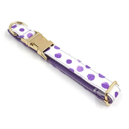 Personalized Dog Collar with Free Engraving – Purple Bubble Design