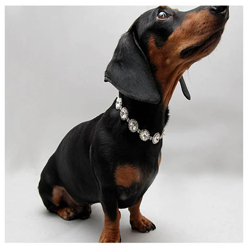 Luxury Bling Crystal Pet Necklace – Adjustable Rhinestone Dog & Cat Collar for Weddings & Special Occasions