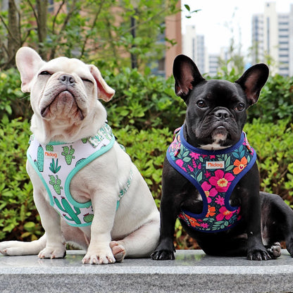 Cute Mesh Nylon Dog Harness – Soft Breathable Adjustable Puppy Vest for Small, Medium &amp; Large Dogs