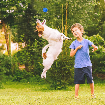 Durable Rubber Dog Ball – Chew-Resistant Bouncy Toy for Outdoor Play, Throwing &amp; Retrieval Training