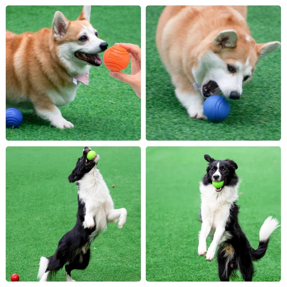 Durable Rubber Dog Ball – Chew-Resistant Bouncy Toy for Outdoor Play, Throwing &amp; Retrieval Training