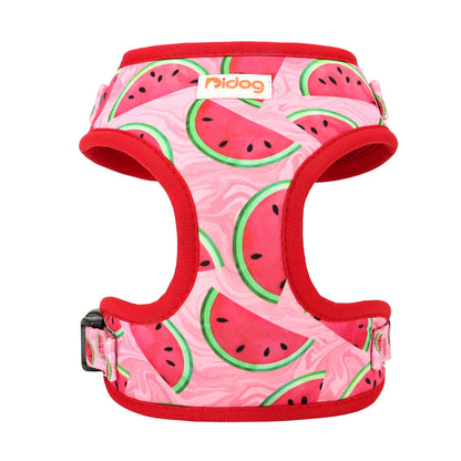 Cute Mesh Nylon Dog Harness – Soft Breathable Adjustable Puppy Vest for Small, Medium &amp; Large Dogs