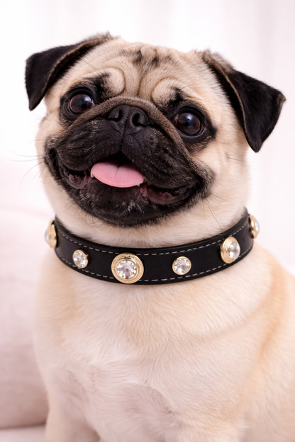 Genuine Leather Pet Collar White Diamond Gemstone Rivet Cowhide Collar Dog and Cat Collar