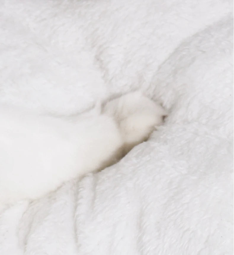 Autumn &amp; Winter Panda Yurt Pet House – Warm Semi-Enclosed Nest for Playful Cats &amp; Dogs