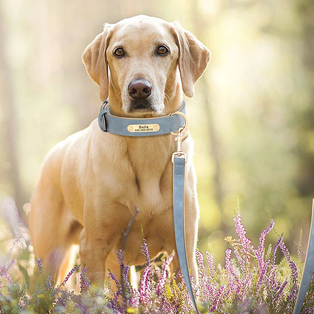 Personalized Safety Leather Dog Collar &amp; Leash Set – Free Engraving
