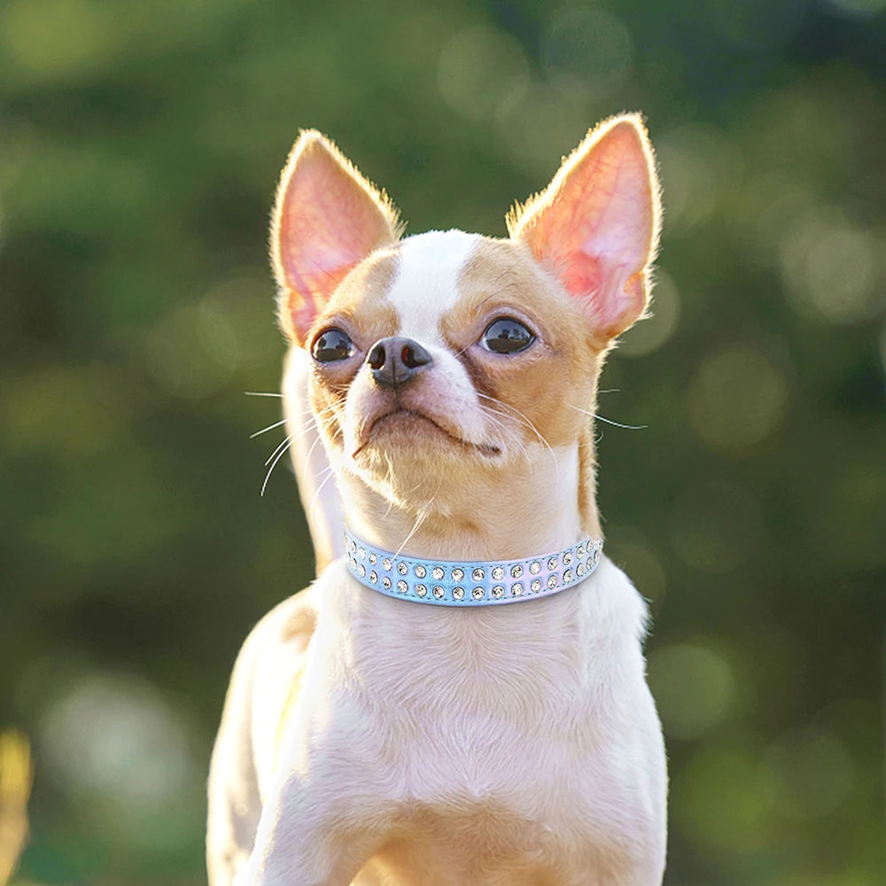 Crystal Rhinestone Small Dog Collar – Adjustable Leather Pet Collar for Chihuahua, Puppy &amp; Cat, Padded Sparkly Dog Collar
