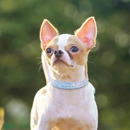 Crystal Rhinestone Small Dog Collar – Adjustable Leather Pet Collar for Chihuahua, Puppy &amp; Cat, Padded Sparkly Dog Collar