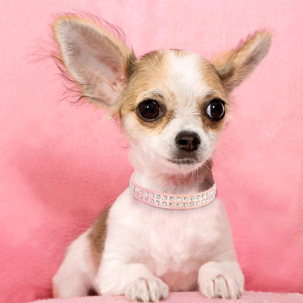 Crystal Rhinestone Small Dog Collar – Adjustable Leather Pet Collar for Chihuahua, Puppy &amp; Cat, Padded Sparkly Dog Collar