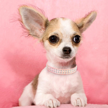 Crystal Rhinestone Small Dog Collar – Adjustable Leather Pet Collar for Chihuahua, Puppy &amp; Cat, Padded Sparkly Dog Collar