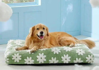 Extra Large Dog Bed Removable Cover, Cute Modern Fuzzy Plush, Anti-Slip Bottom Premium Comfort for Pets