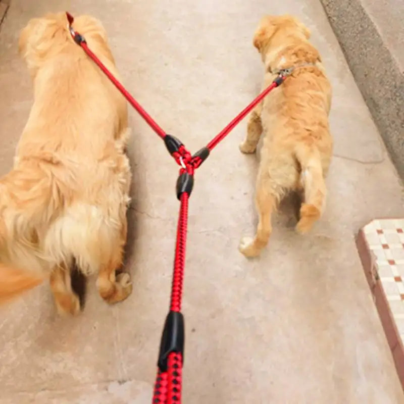 Double Dog Leash for Walking Two Dogs – Durable Nylon Pet Coupler with Comfortable EVA Handle, 140cm