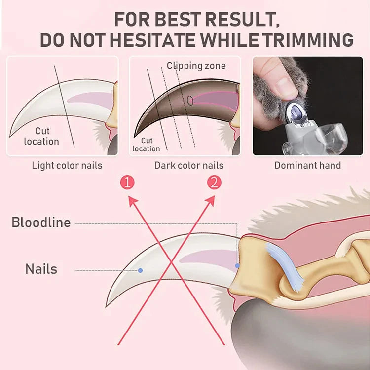 LED Pet Nail Clippers with Safety Light – Stainless Steel Cat &amp; Dog Nail Trimmer for Safe, Precise Grooming