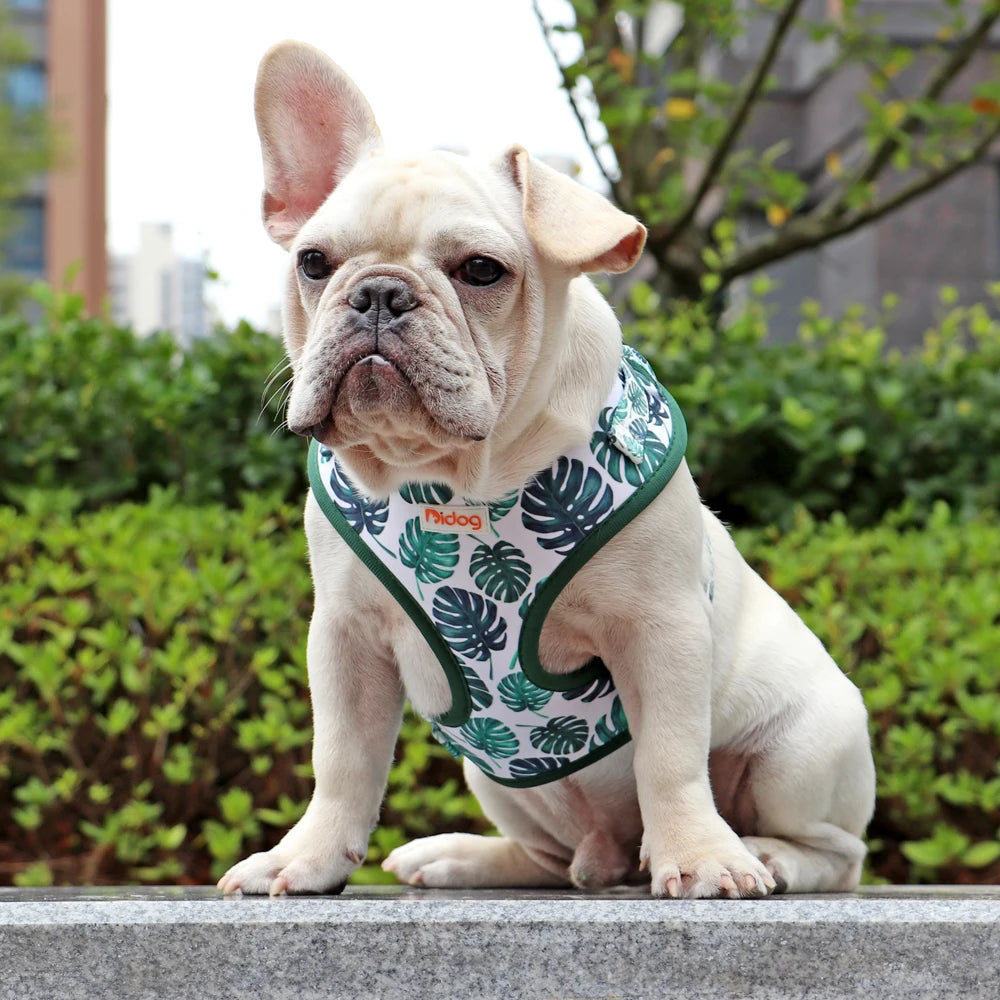 Cute Printed Mesh Nylon Dog Harness – Soft Breathable Adjustable Puppy Vest for Small, Medium &amp; Large Dogs