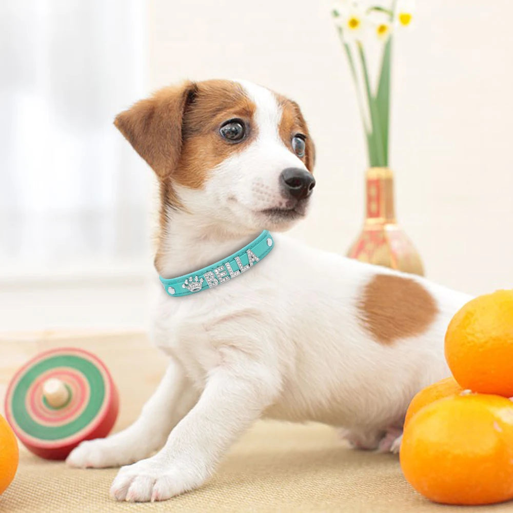 Personalized Bling Rhinestone Dog Collar – Custom Name Collar for Small Dogs &amp; Cats