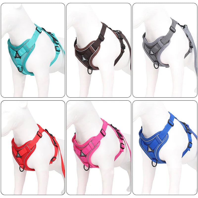 Dog Harness Leash Set - Adjustable Reflective Pet Chest Strap for Small &amp; Medium Dogs, Cats, Puppies, French Bulldog, Yorkie