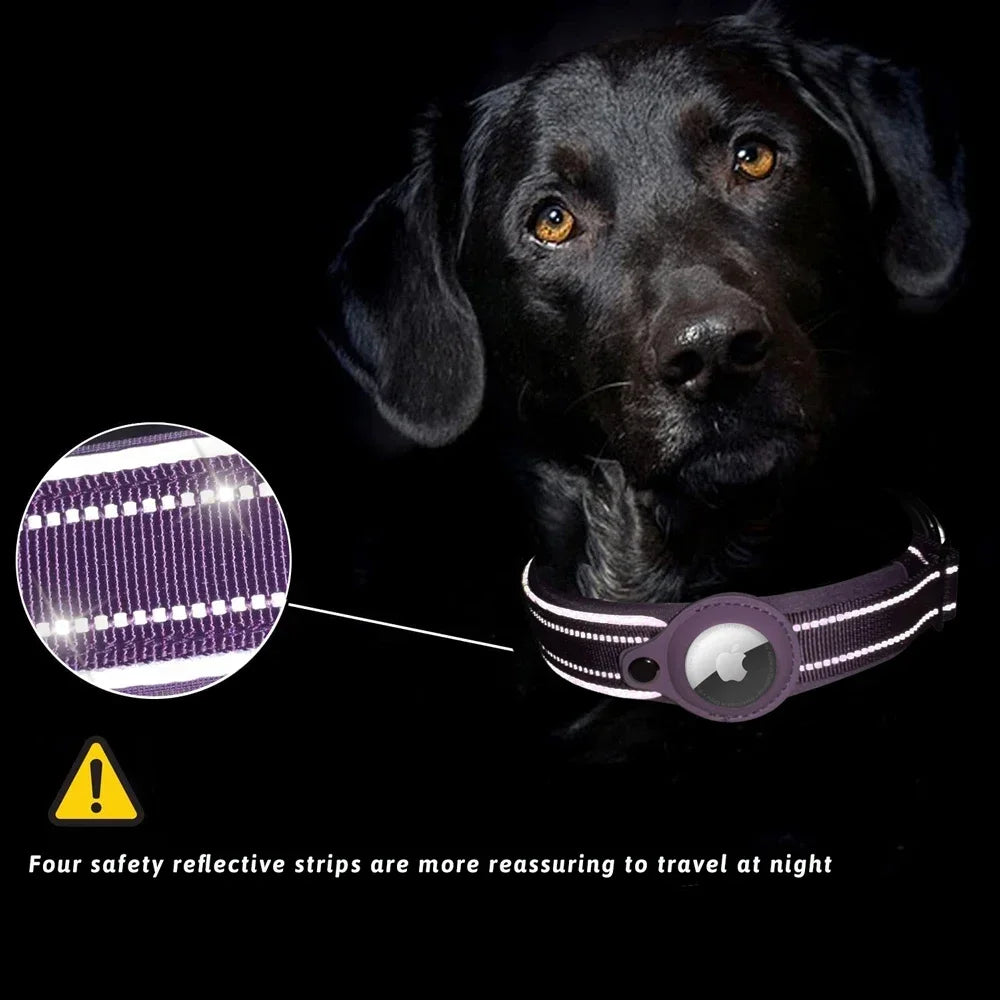 Colorful Durable Dog Collar with Airtag Holder - Strong Material, Safety Collar for Dogs (Airtag Sold Separately)