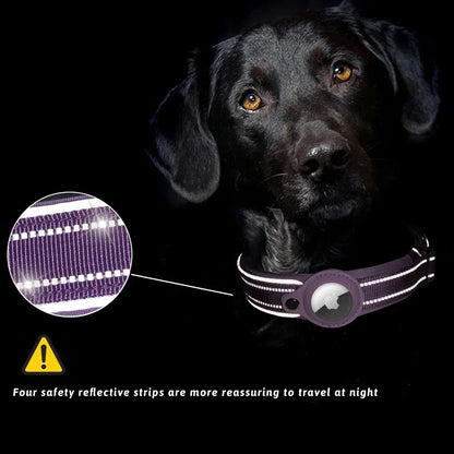 Colorful Durable Dog Collar with Airtag Holder - Strong Material, Safety Collar for Dogs (Airtag Sold Separately)