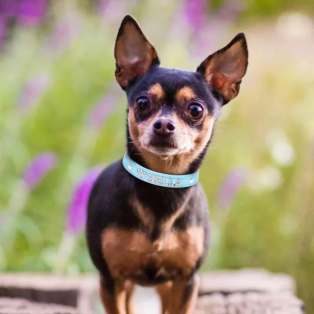 Personalized Bling Rhinestone Dog Collar – Custom Name Collar for Small Dogs &amp; Cats