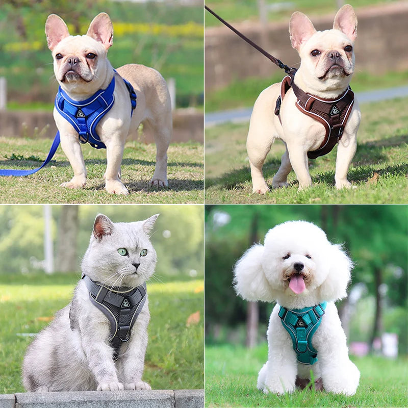 Dog Harness Leash Set - Adjustable Reflective Pet Chest Strap for Small &amp; Medium Dogs, Cats, Puppies, French Bulldog, Yorkie