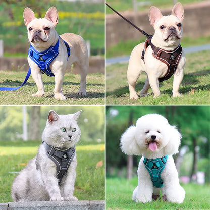 Dog Harness Leash Set - Adjustable Reflective Pet Chest Strap for Small &amp; Medium Dogs, Cats, Puppies, French Bulldog, Yorkie