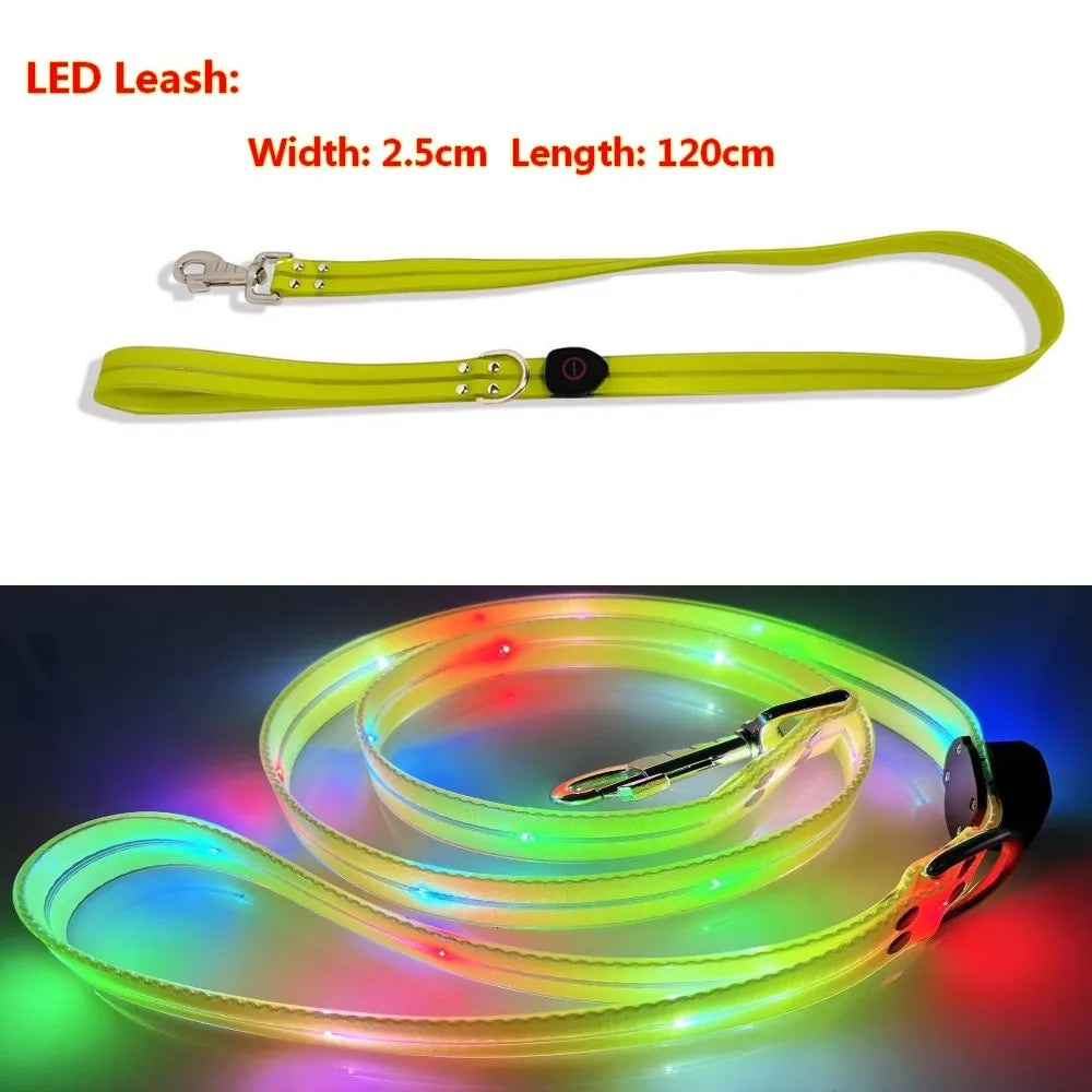Pet Dog LED Light-Up Leash – USB Rechargeable, PVC &amp; Webbing Glowing Leash for Night Walking