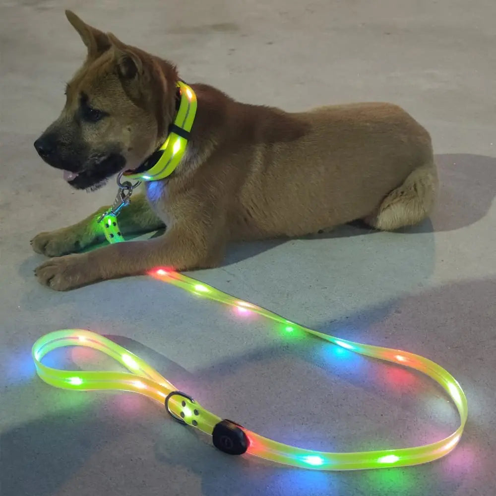 Pet Dog LED Light-Up Leash – USB Rechargeable, PVC &amp; Webbing Glowing Leash for Night Walking