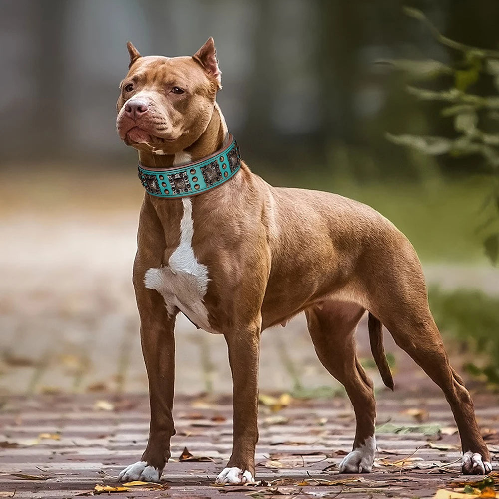 Cool Spiked Dog Collar for Medium Large Dogs – Genuine Leather Adjustable Pitbull Bulldog Collar with Metal Buckle &amp; D-Ring