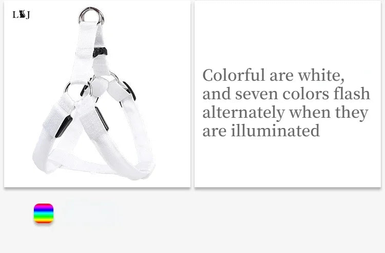 LED Luminous Dog Harness – USB Rechargeable Glowing Night Safety Harness for Medium &amp; Large Dogs