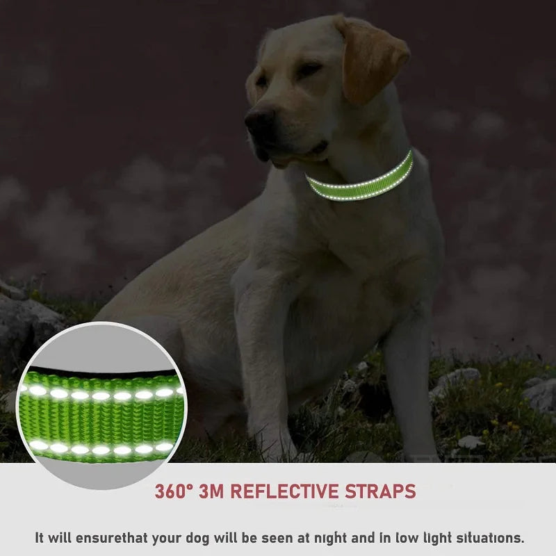 Choker Style Small Dog Collar – Decorative Puppy &amp; Big Dog Necklace Collar