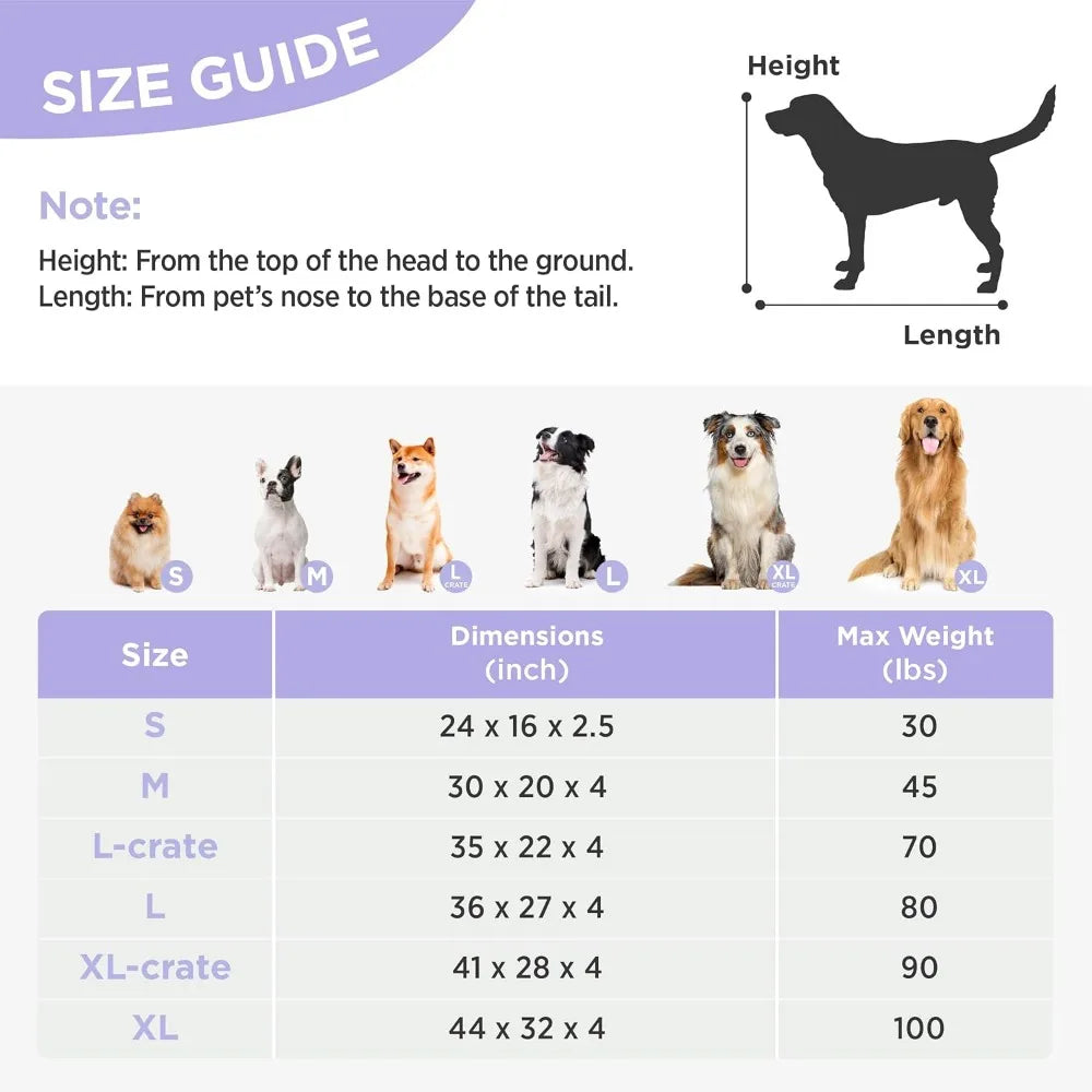 Extra Large Dog Bed Removable Cover, Cute Modern Fuzzy Plush, Anti-Slip Bottom Premium Comfort for Pets