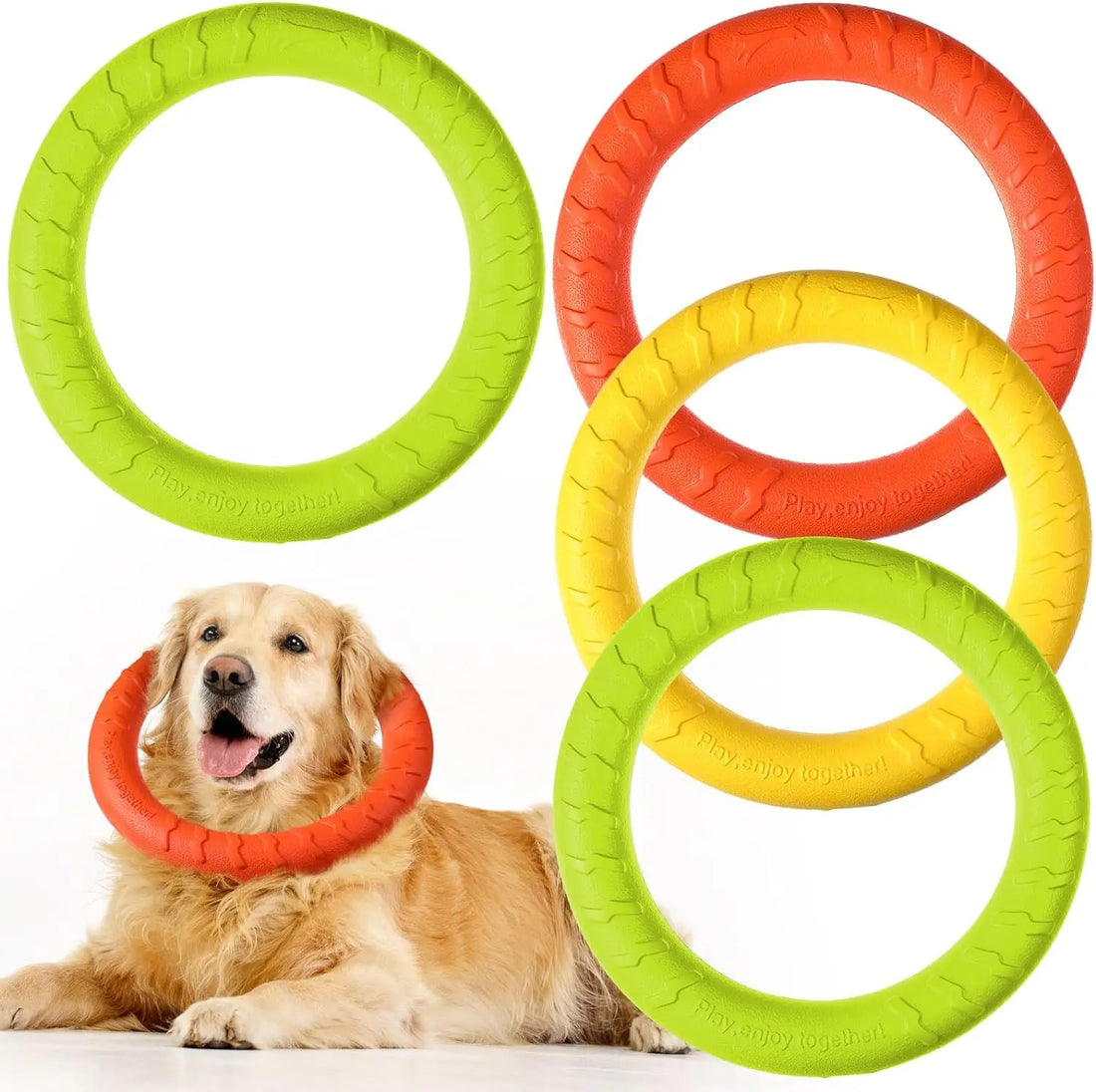 Locking Dog Rings Magnolia Pet