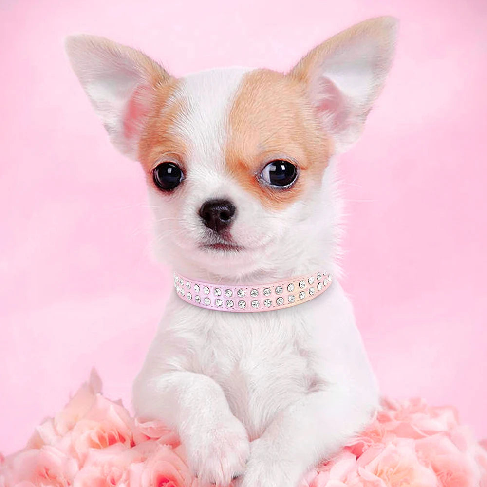 Crystal Rhinestone Small Dog Collar – Adjustable Leather Pet Collar for Chihuahua, Puppy &amp; Cat, Padded Sparkly Dog Collar