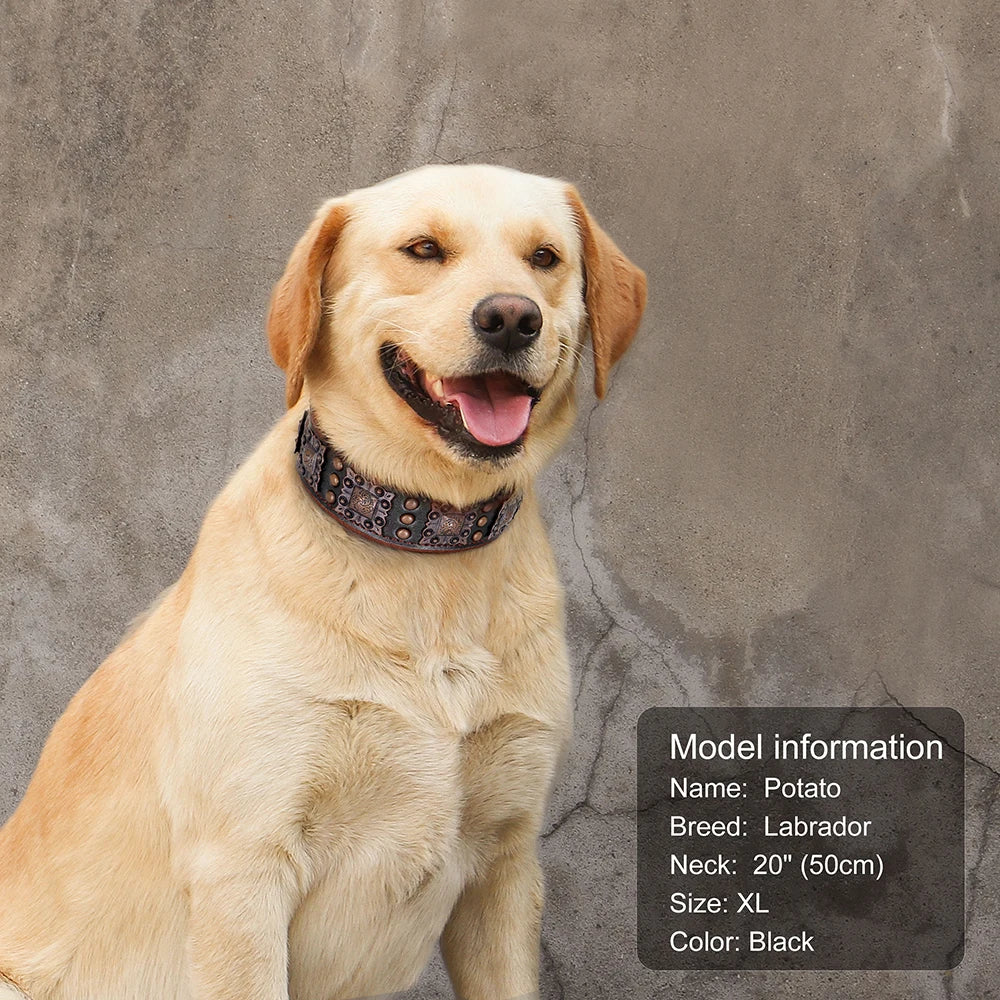 Cool Spiked Dog Collar for Medium Large Dogs – Genuine Leather Adjustable Pitbull Bulldog Collar with Metal Buckle &amp; D-Ring