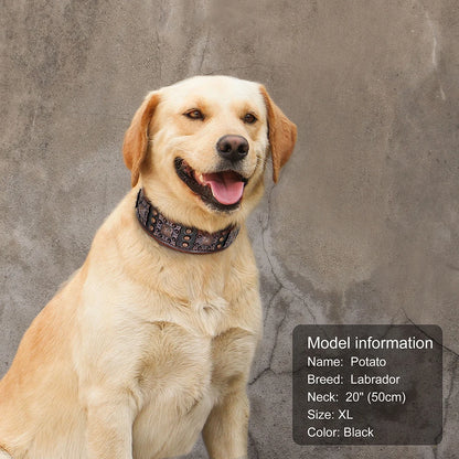 Cool Spiked Dog Collar for Medium Large Dogs – Genuine Leather Adjustable Pitbull Bulldog Collar with Metal Buckle &amp; D-Ring