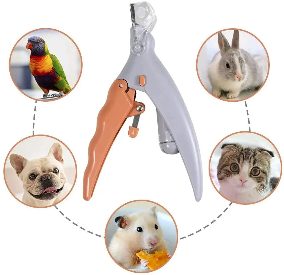 LED Pet Nail Clippers with Safety Light – Stainless Steel Cat &amp; Dog Nail Trimmer for Safe, Precise Grooming