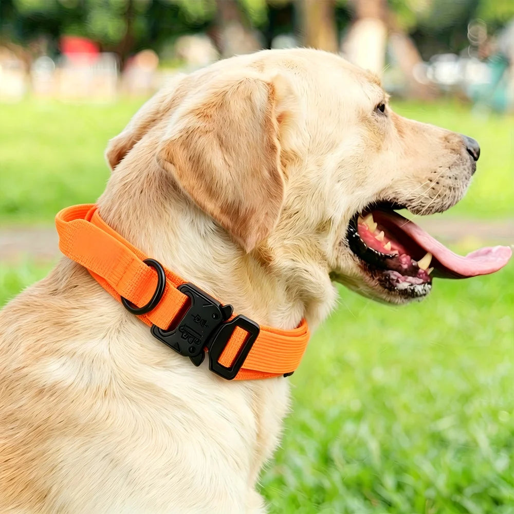 Tactical Dog Collar with Handle – Adjustable Military Nylon Collar for Medium &amp; Large Dogs