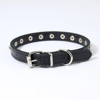 Rivet Anti-Bite Leather Dog &amp; Cat Collar – Durable Studded Collar - Pet Neck Strap