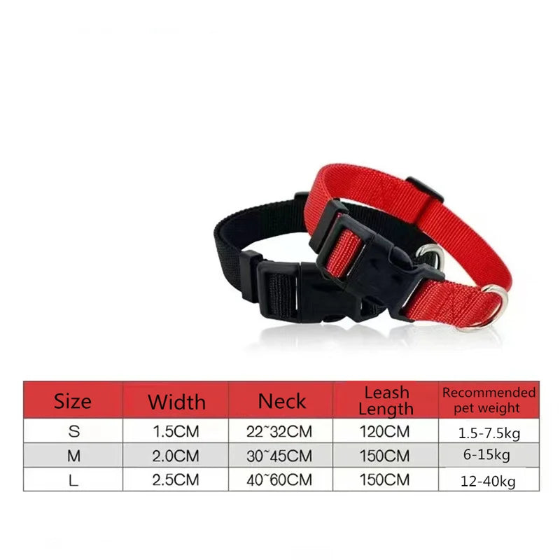Adjustable Nylon Dog Collar with Clip for Small &amp; Medium Dogs – Durable, Comfortable &amp; High-Visibility Colors for Safety