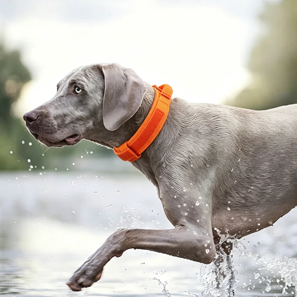 Tactical Dog Collar with Handle – Adjustable Military Nylon Collar for Medium &amp; Large Dogs