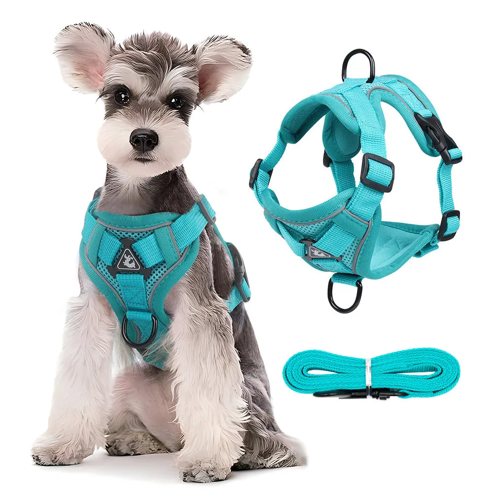 Dog Harness Leash Set - Adjustable Reflective Pet Chest Strap for Small &amp; Medium Dogs, Cats, Puppies, French Bulldog, Yorkie