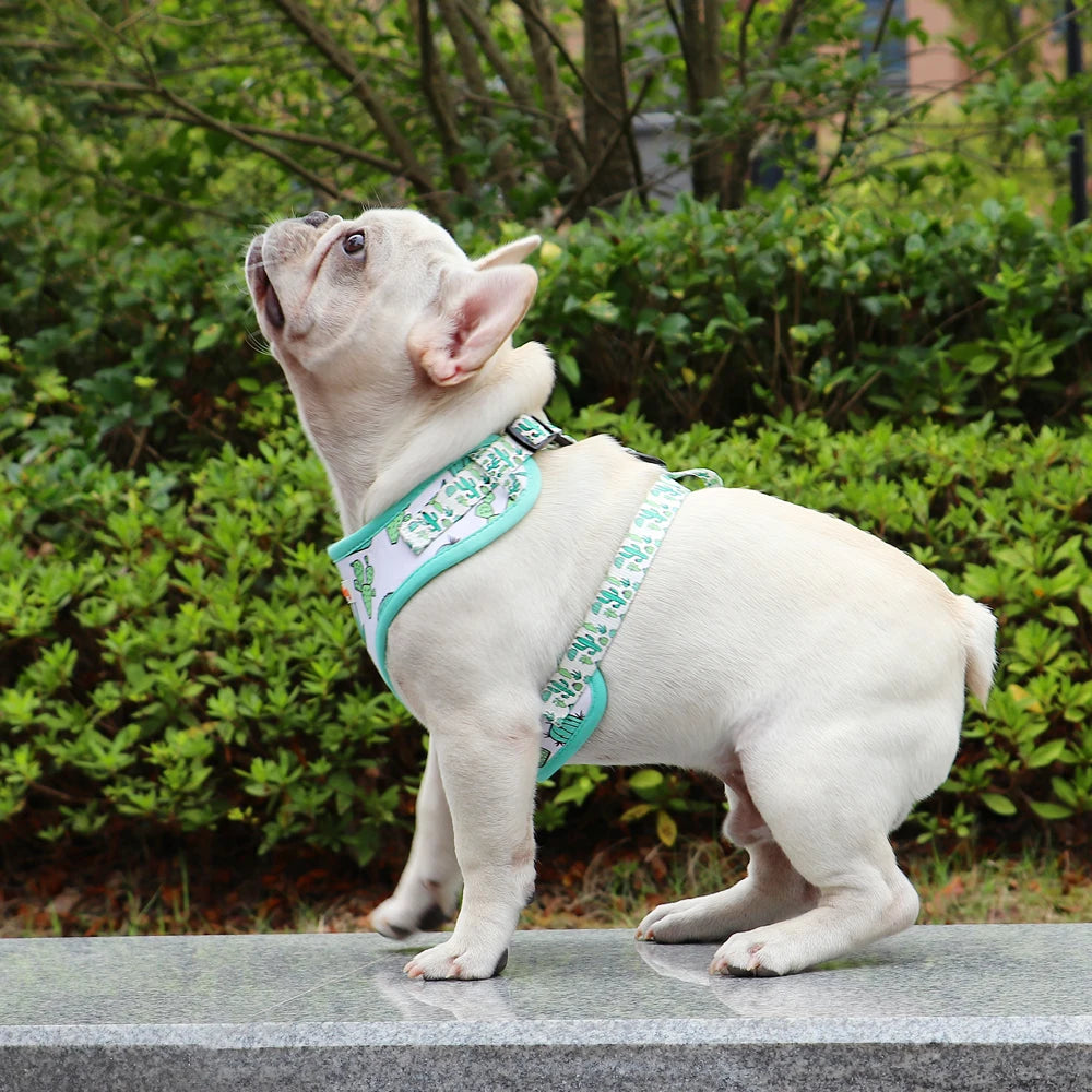 Cute Printed Mesh Nylon Dog Harness – Soft Breathable Adjustable Puppy Vest for Small, Medium &amp; Large Dogs